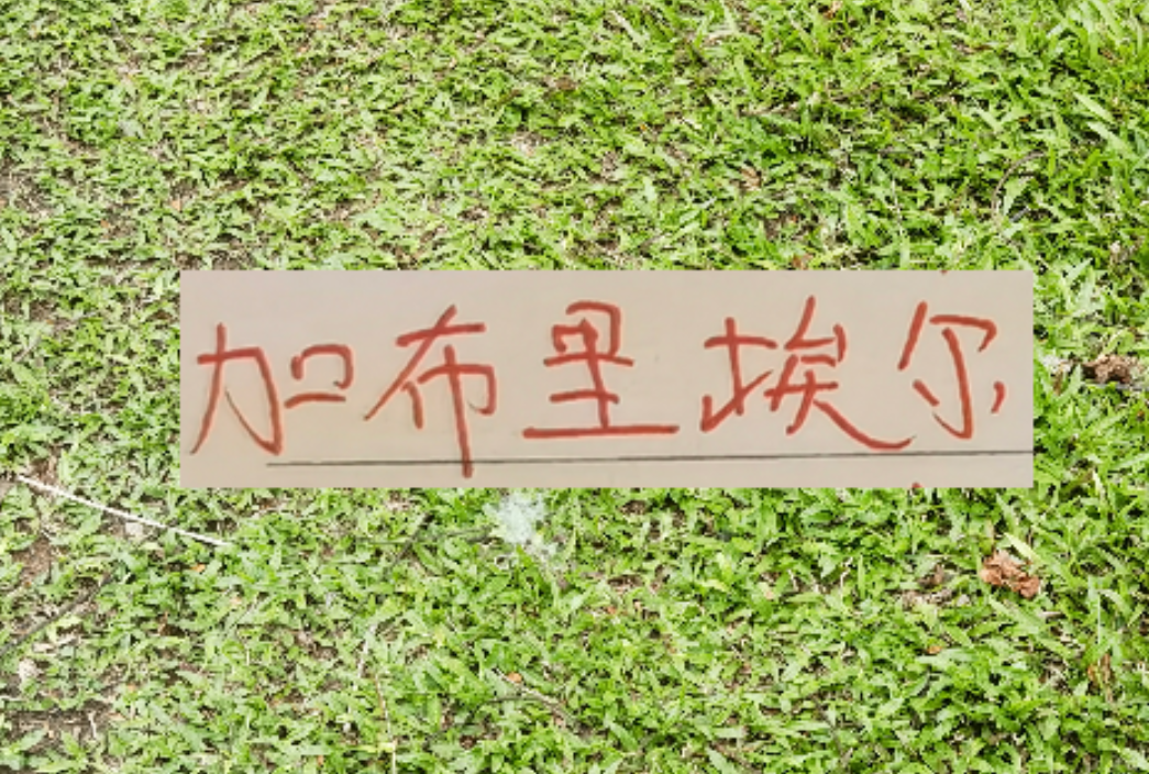 世界杯手机高清观看平台-拦不住申花降维打击！加布里不管咋样也是 低配版海港巴尔加斯